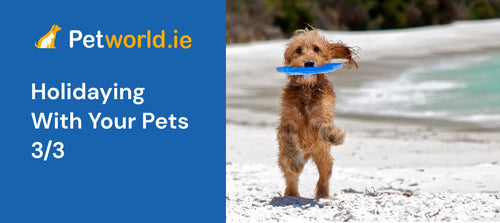 Guidelines For Travelling With Your Pet