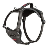 Halti Anatomy Dog Harness