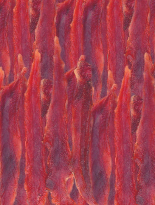 duck breast fillet pet munchies