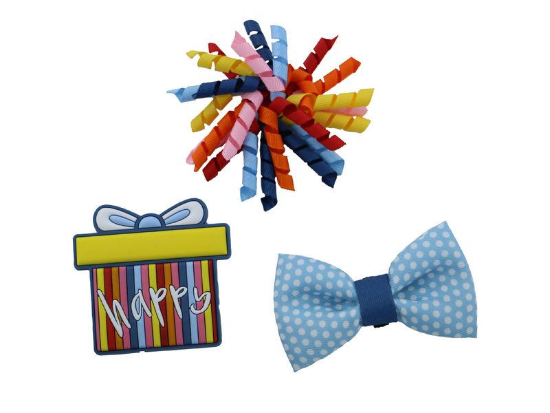Ancol Pawty Time Present Accessory Set