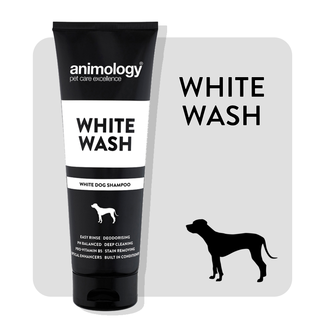 Animology White Wash Shampoo 250ml