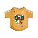 Antrim GAA Pet Jersey