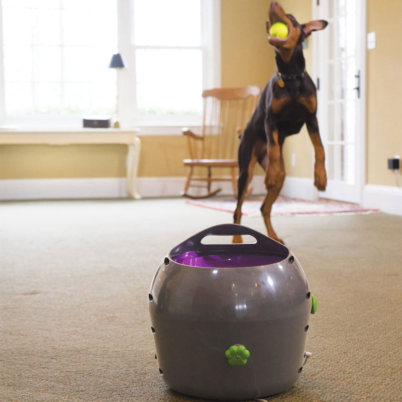 Automatic Ball Launcher PetSafe