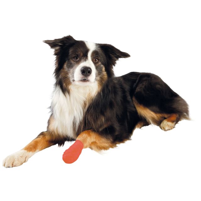 Trixie Bandages to protect against gnawing - PetWorld