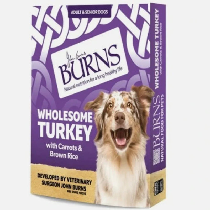 Burns Wholesome Turkey Dog Food 395g