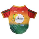 Carlow GAA Pet Jersey