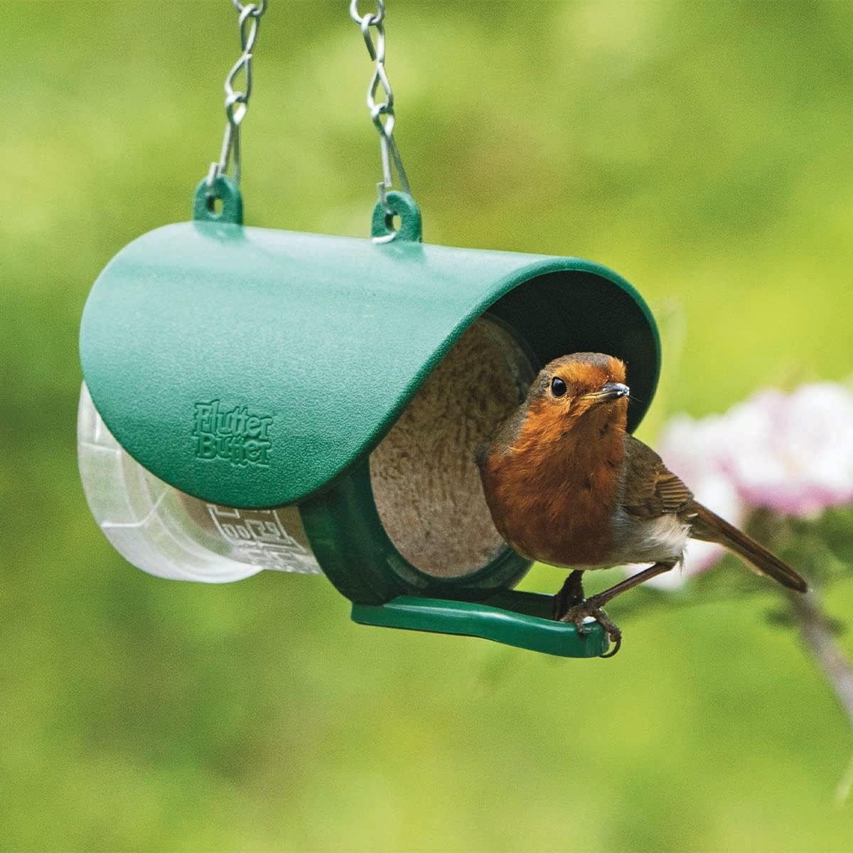 Flutter Butter Feeder - PetWorld