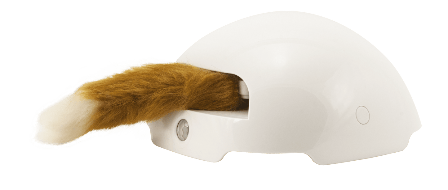 Fox Den Automatic Cat Teaser Toy - PetWorld