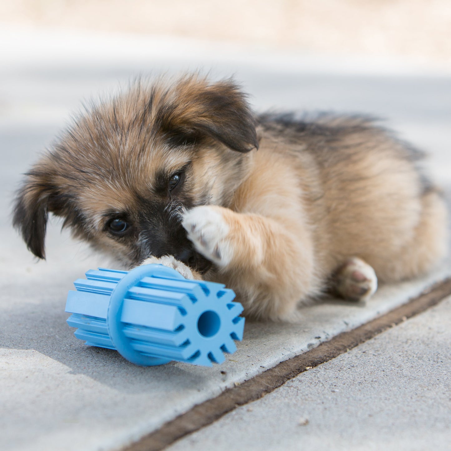 KONG Puppy Teething Stick - Valuepet.ie