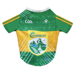 Kerry GAA Pet Jersey