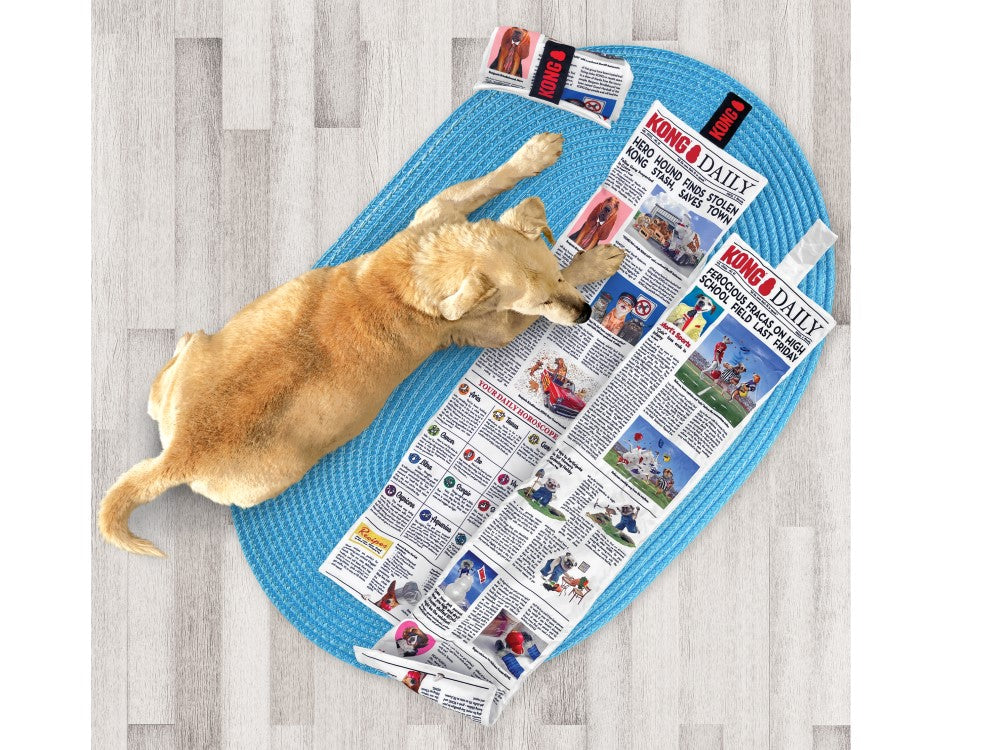 KONG Daily Newspaper XL - Valuepet.ie