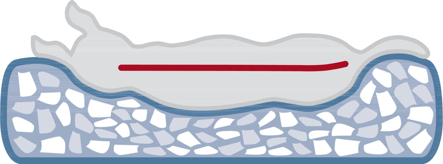 Noah Vital Orthopaedic Dog Bed - Grey - Valuepet.ie