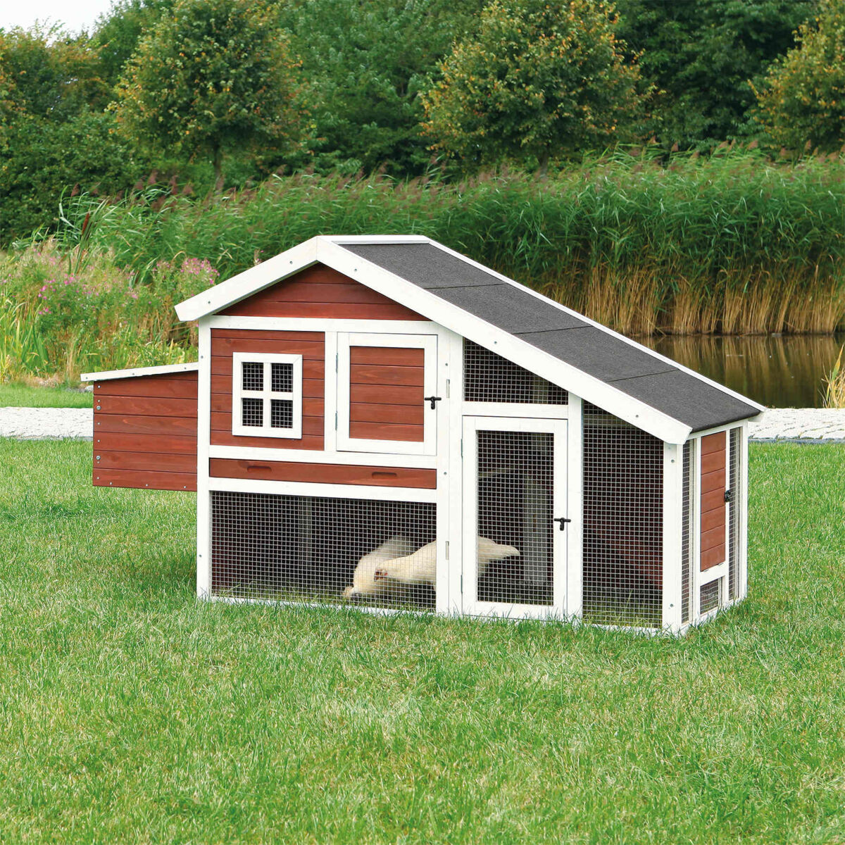 Chicken Coop with Enclosure - PetWorld