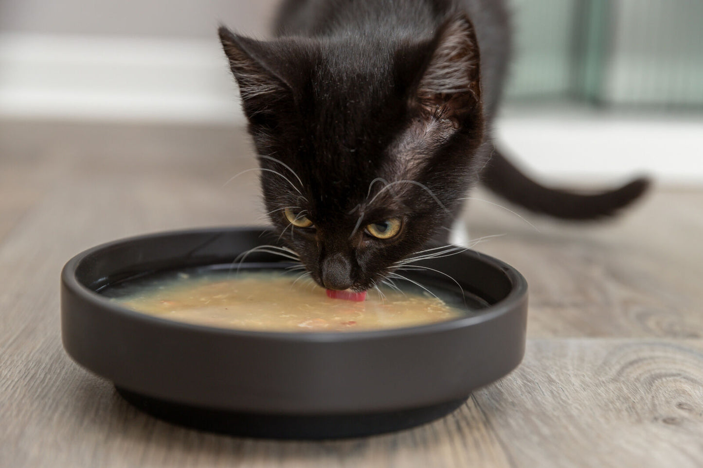 Trixie Cat Soup - Valuepet.ie