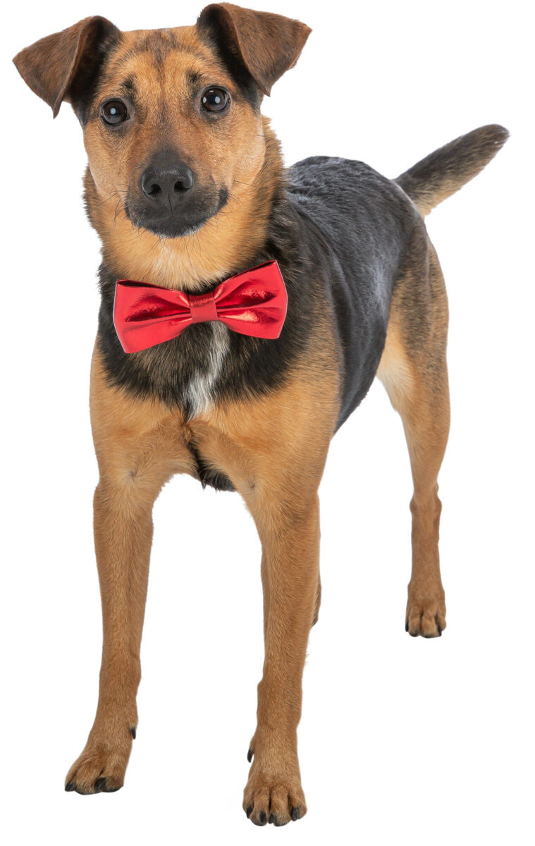 Christmas Bow Tie - Valuepet.ie