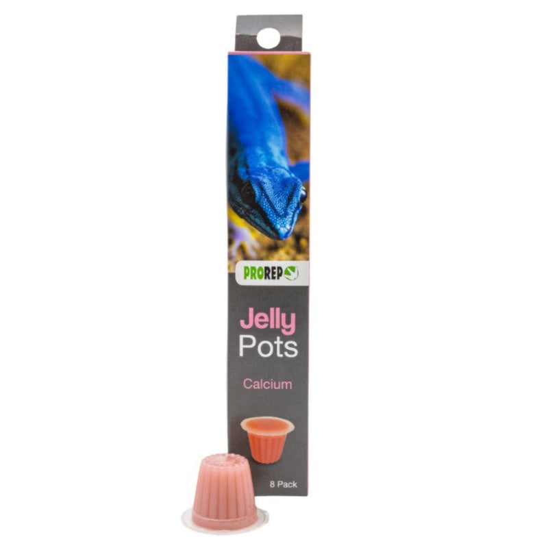Prorep Jelly Pots - Bug Booster Calcium - Valuepet.ie