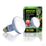 Exo Terra Sun Glo Daylight Basking Spot Lamp 100W