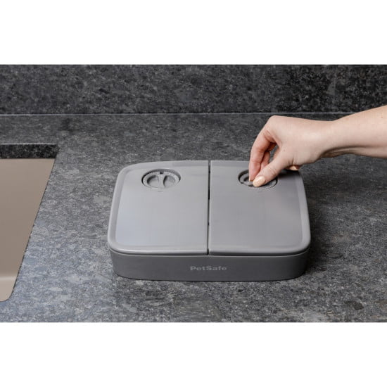 Automatic 2 Meal Pet Feeder - PetWorld