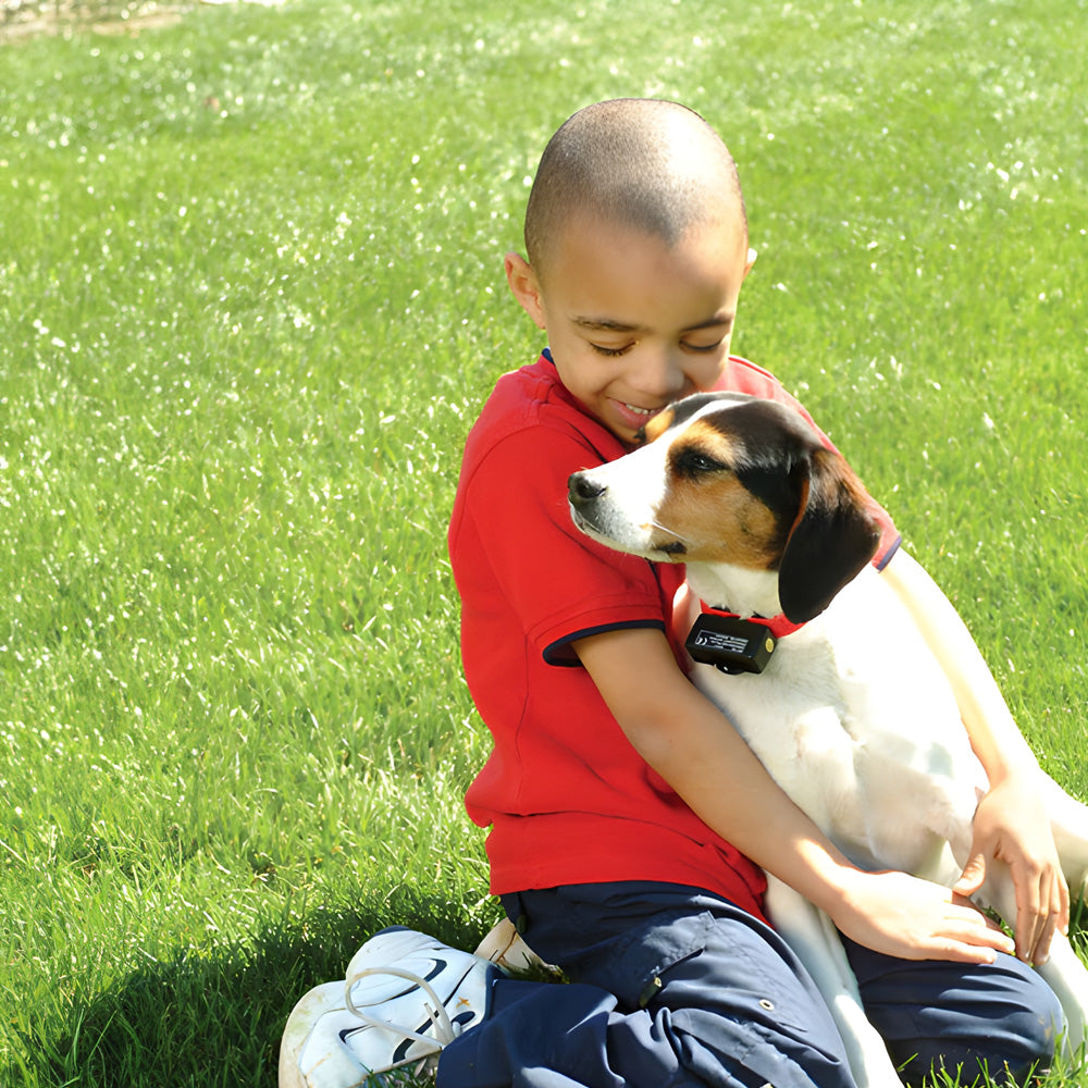 PetSafe Bark Collar - Static Anti Bark Collar For Dogs - Valuepet.ie