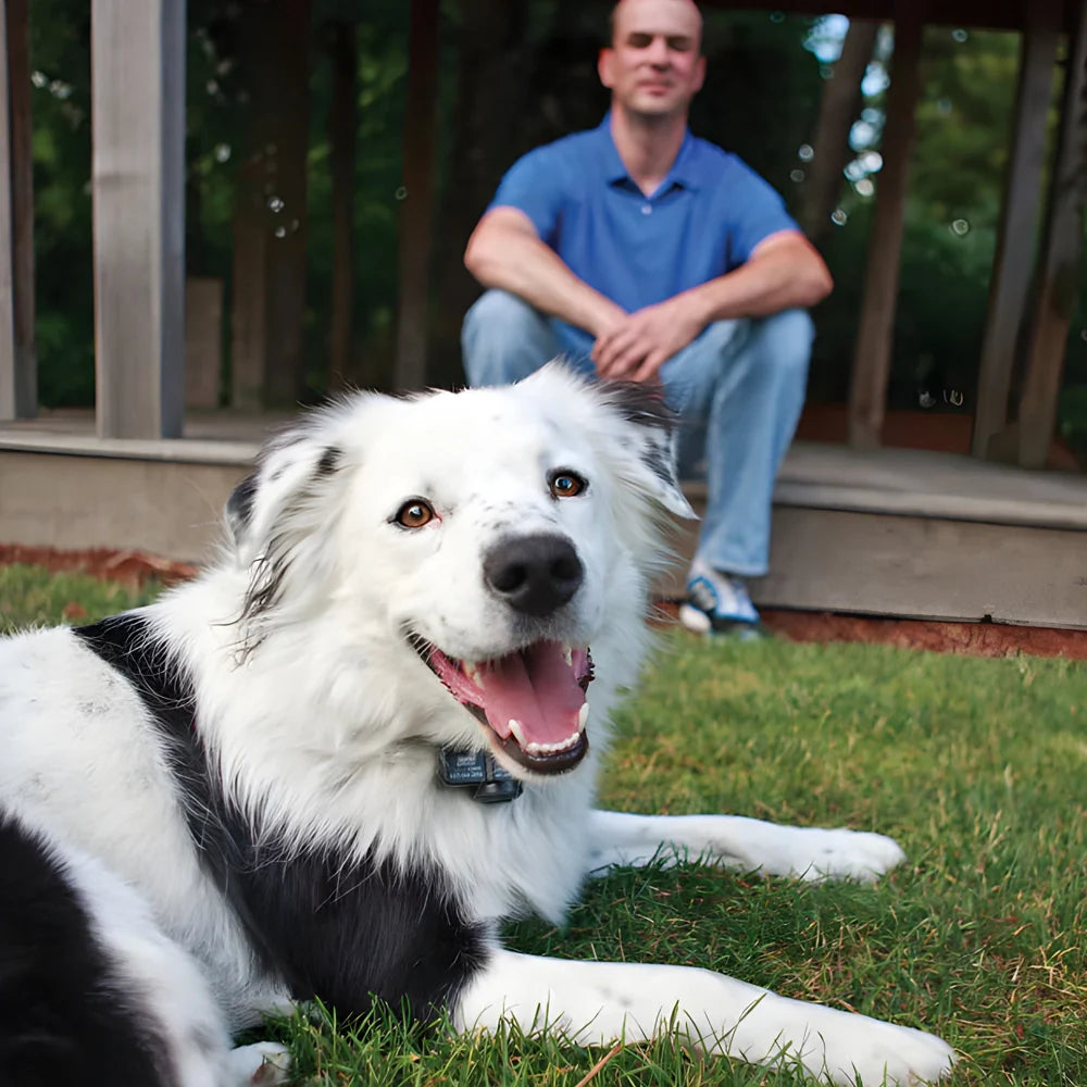 Wireless Radio Fence From Petsafe