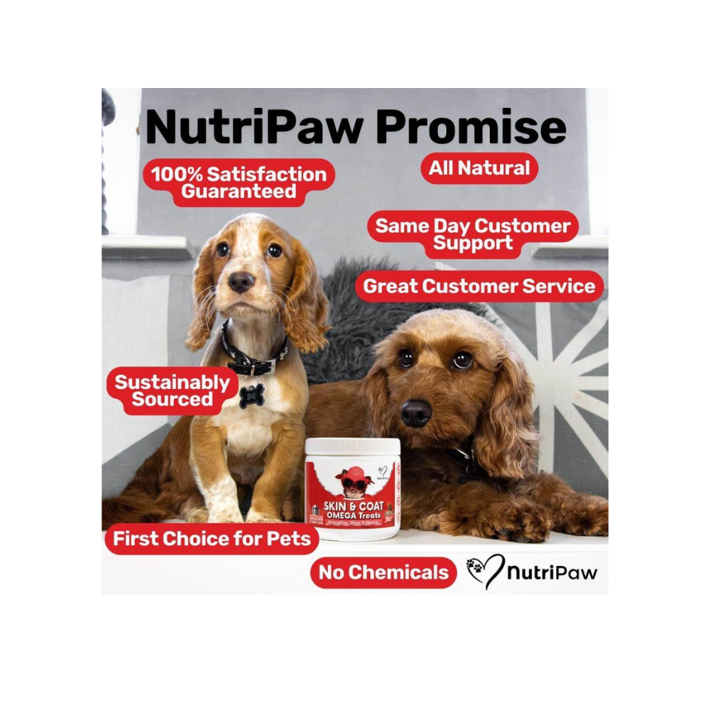 Nutripaw Skin and Coat Omega Treats - Valuepet.ie