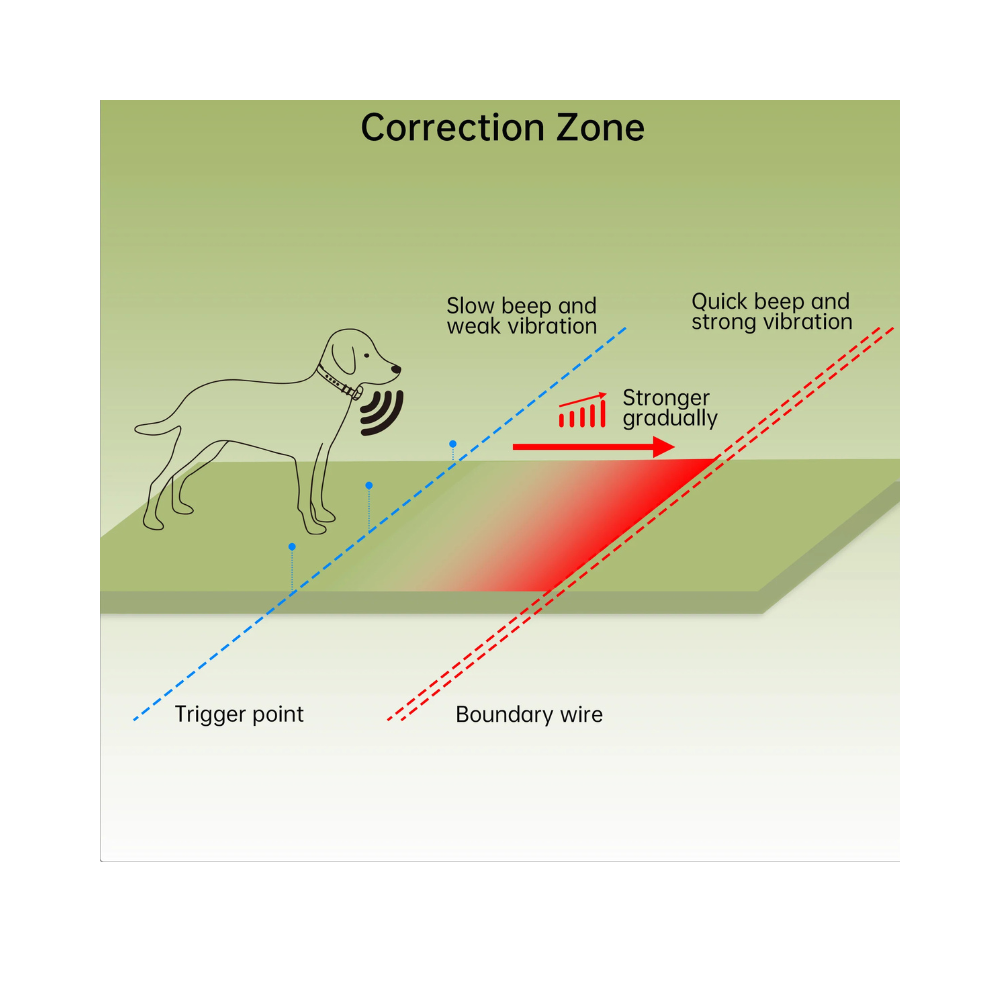 Pawguard F600 In-Ground Fence - Valuepet.ie