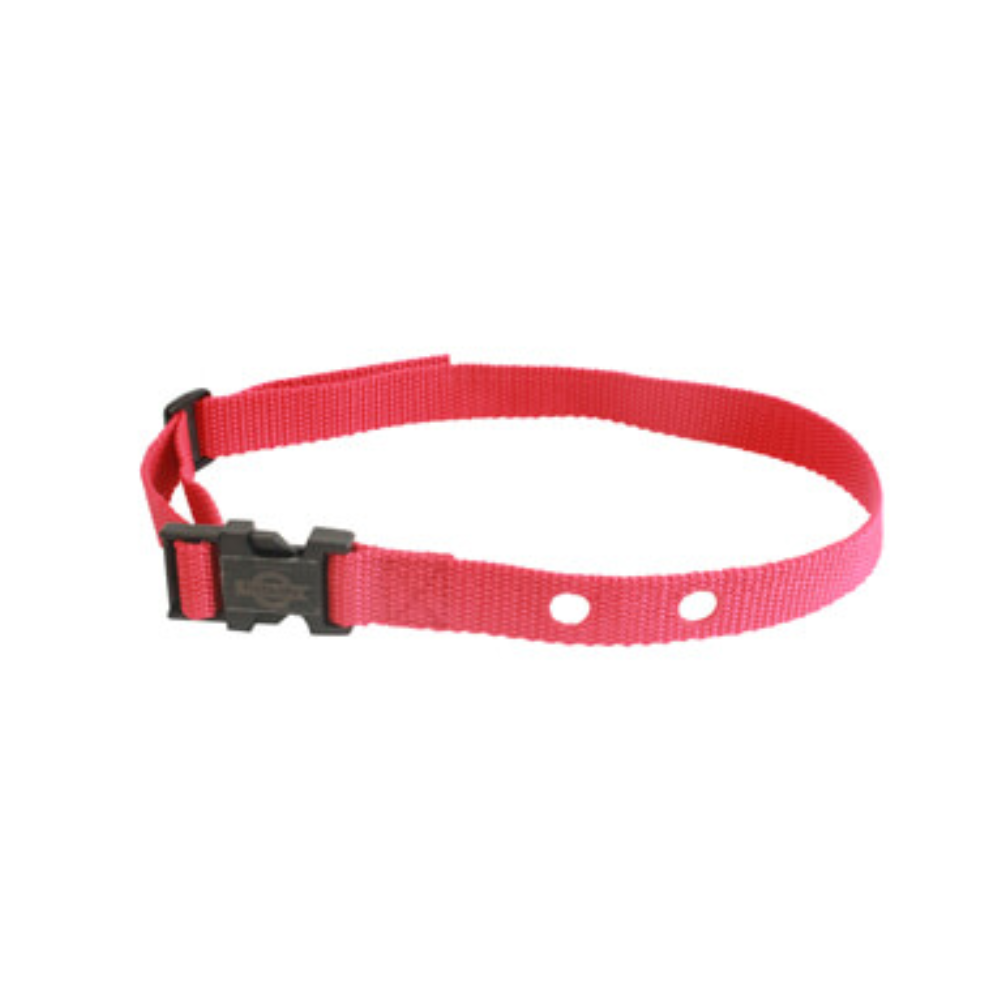 Replacement Red nylon strap for Petsafe Receivers - Valuepet.ie