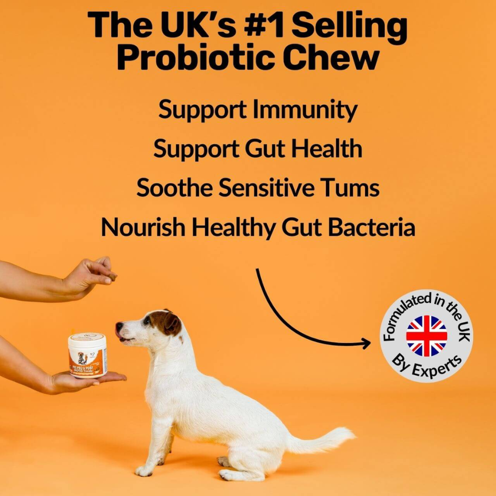 Nutripaw Pre, Pro and Post Biotic Treats for Gut, Immunity and Digestion - Valuepet.ie