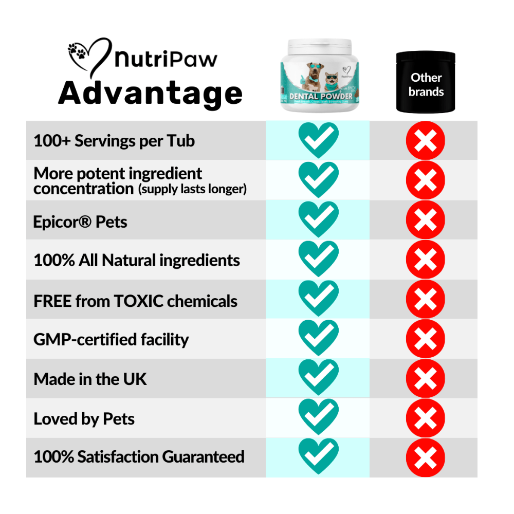 Nutripaw Dental Powder 100 scoops - Valuepet.ie