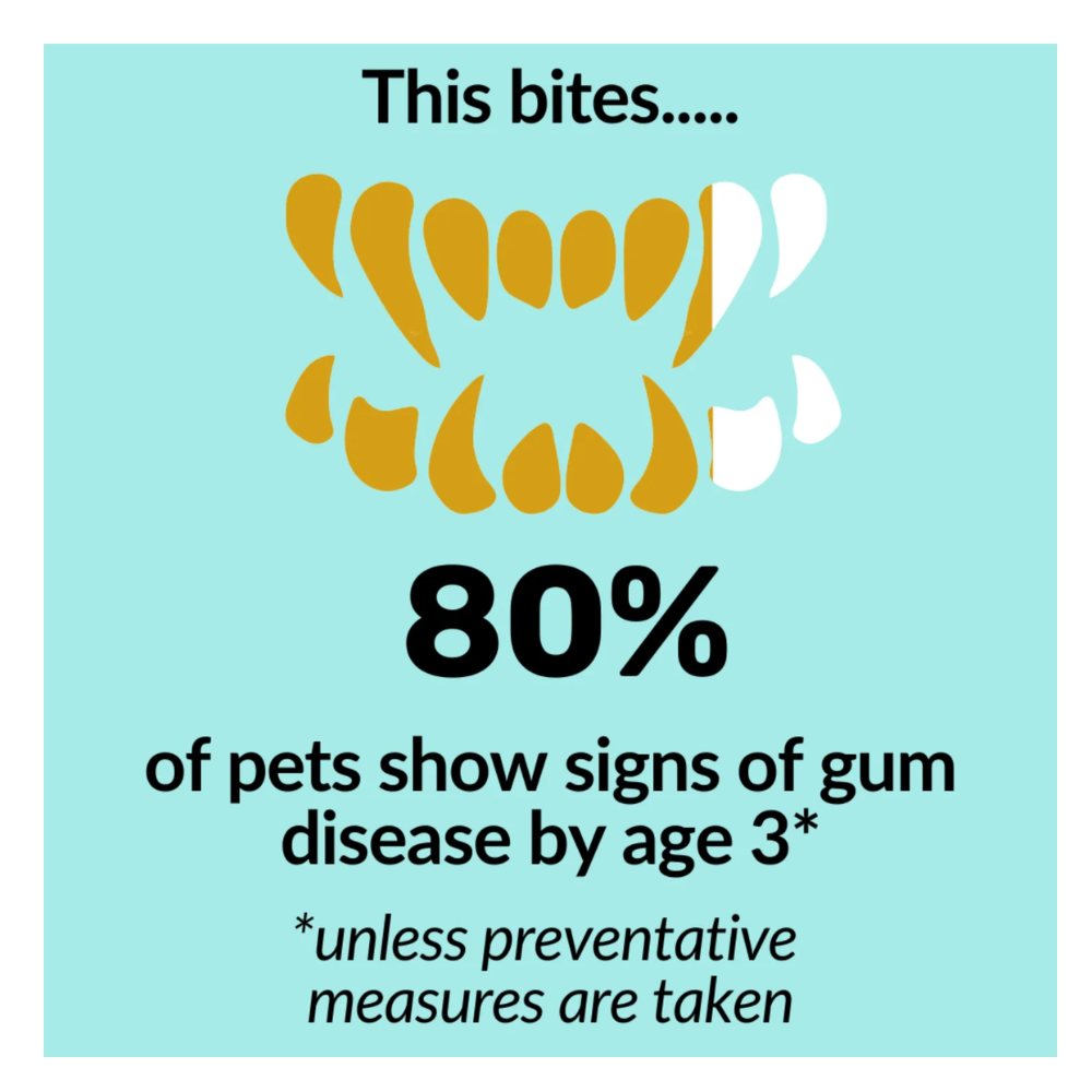 Nutripaw Dental Formula Water Additive 250ml - Valuepet.ie