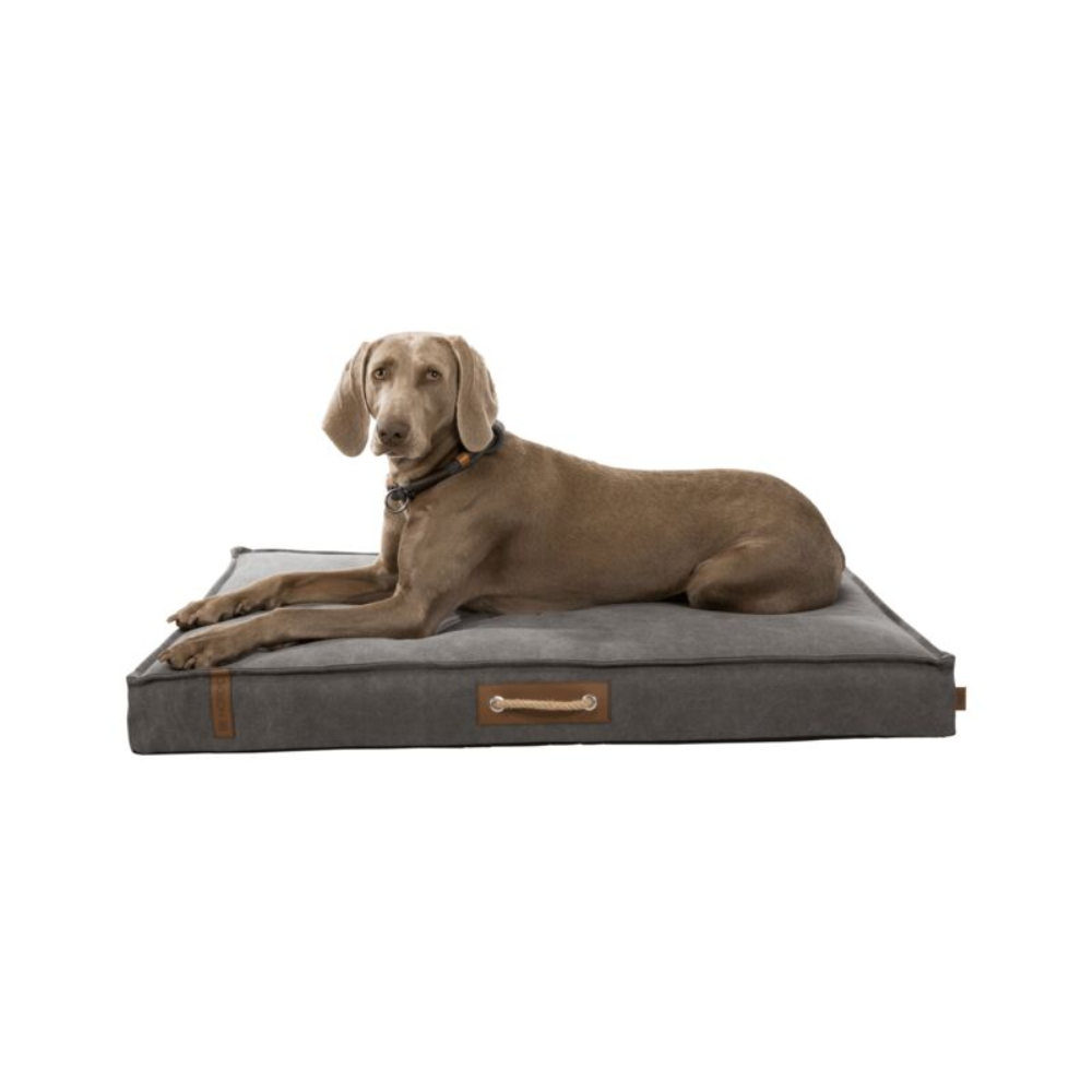 Be Nordic Föhr Mattress, 100 × 70 Cm, Dark Grey - Valuepet.ie