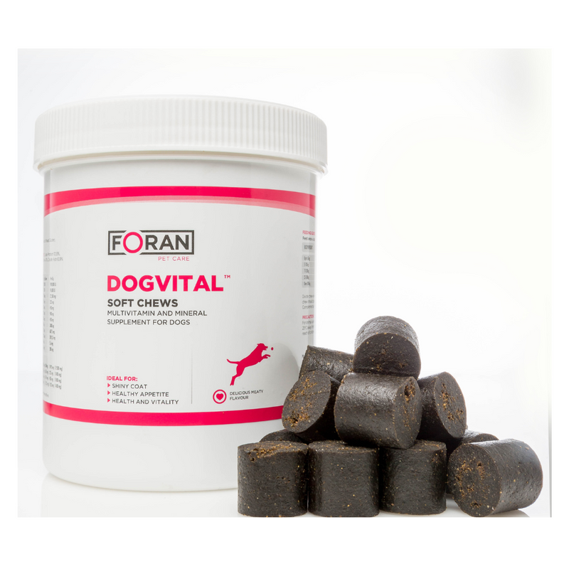 Dogvital Multivitamin Soft Chew for Dogs