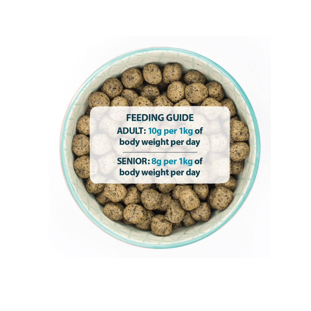 Burns Sensitive Grain Free Adults Turkey & Potato - Valuepet.ie