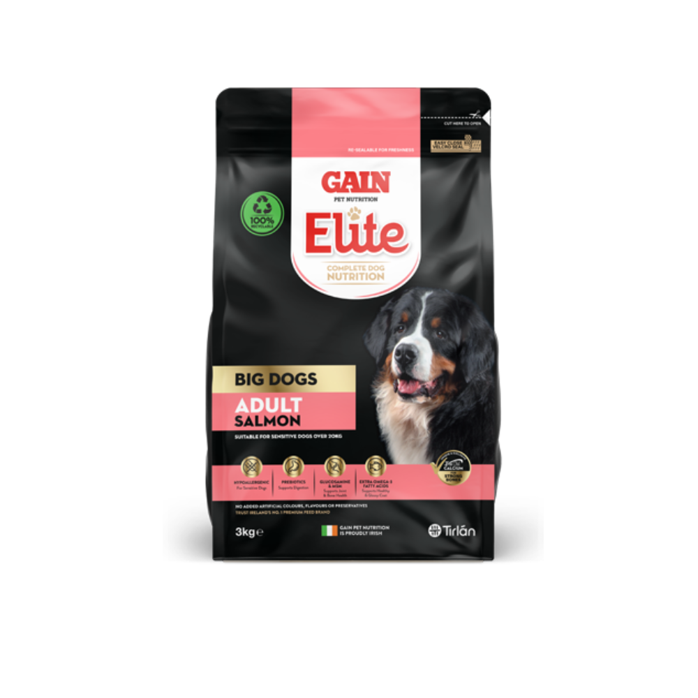Gain Elite Lifesize Big Dog Adult Salmon - Valuepet.ie