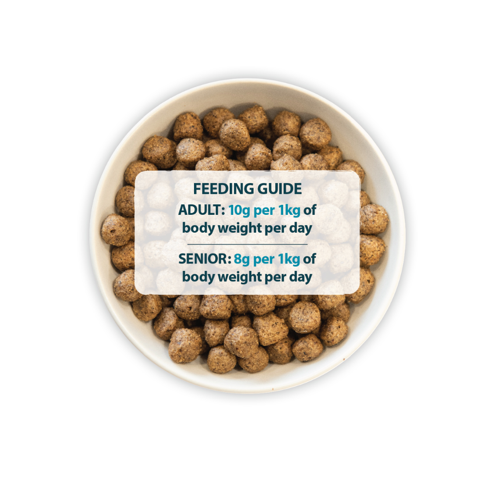 Burns Sensitive Grain Free Adults - Duck And Potato - Valuepet.ie