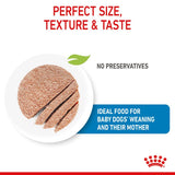 Royal Canin Starter Mother and Babydog Mousse 195g