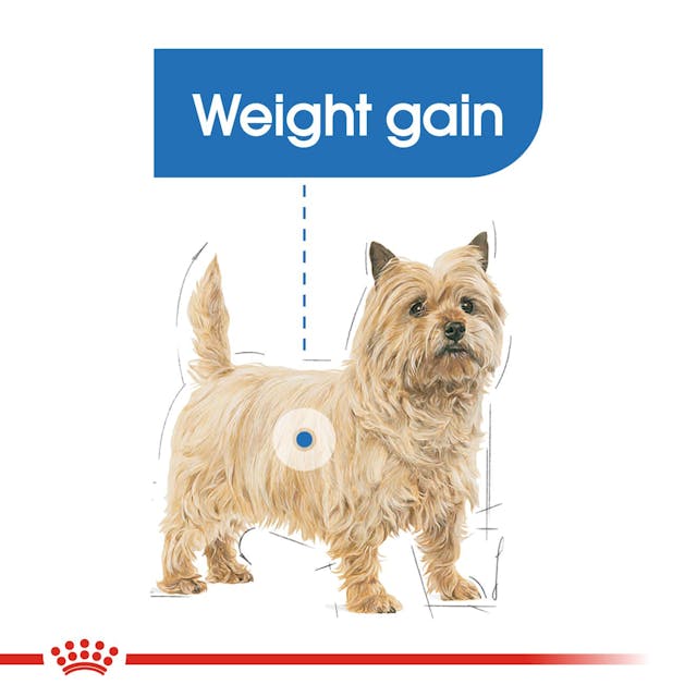 Royal Canin Light Weight Care 85g Pouch - Valuepet.ie
