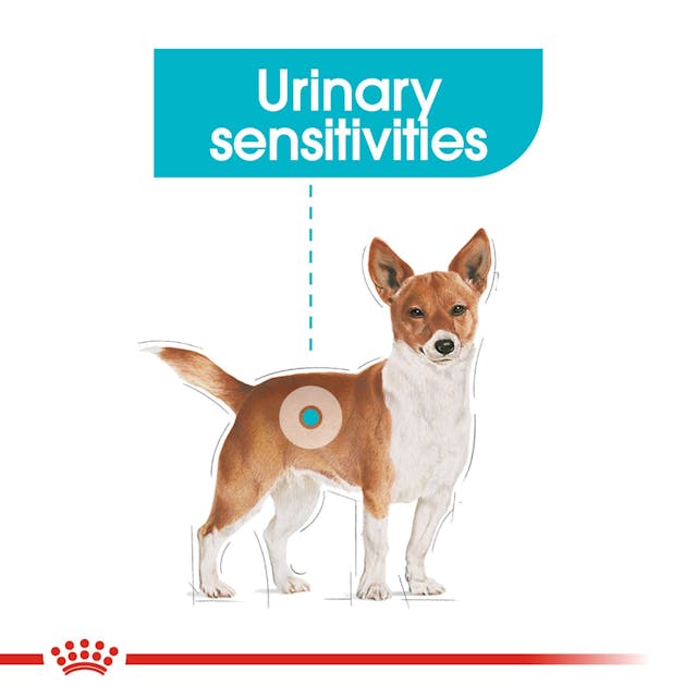 Royal Canin Urinary Care Loaf Dog 85g Pouch - Valuepet.ie