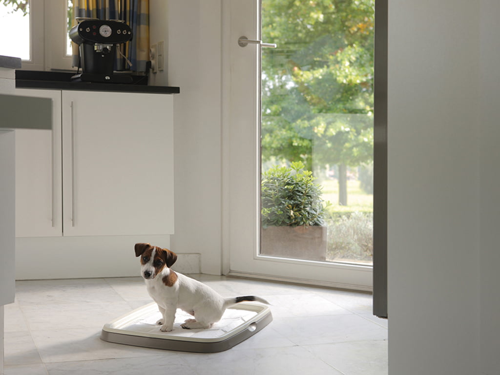 Savic Puppy Training Starter Kit - PetWorld