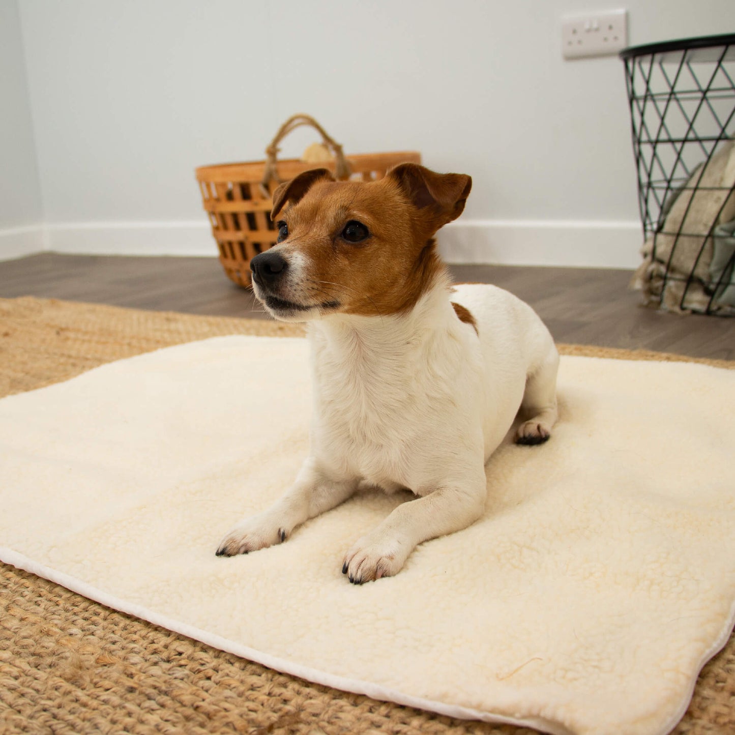 Ancol Self-Heating Pet Pad – Cat/Dog Bed - Valuepet.ie