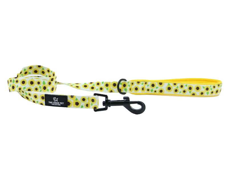 Soho Sunflower Nylon Lead 100cm x 19mm - Valuepet.ie
