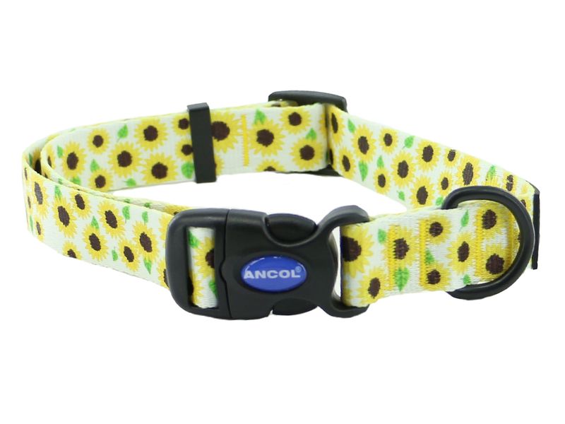 Soho Sunflower Nylon Adjustable Dog Collar - Valuepet.ie