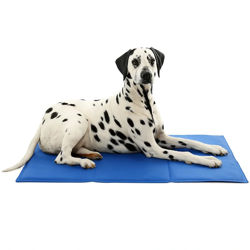 Pet cooling mat
