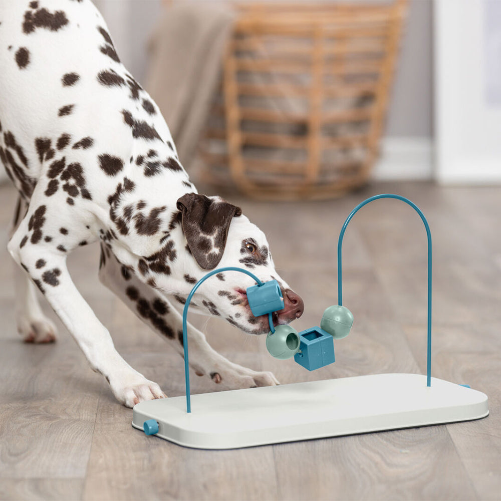 Dog Activity Skills Loop 43cm - Valuepet.ie