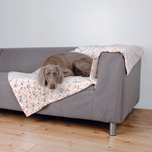 Lingo Plush Dog Blanket – Pawprint & Bones Design - Valuepet.ie