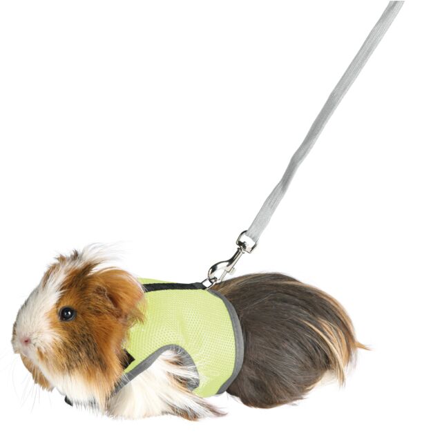 Soft Harness with Leash For Small Pets - Valuepet.ie
