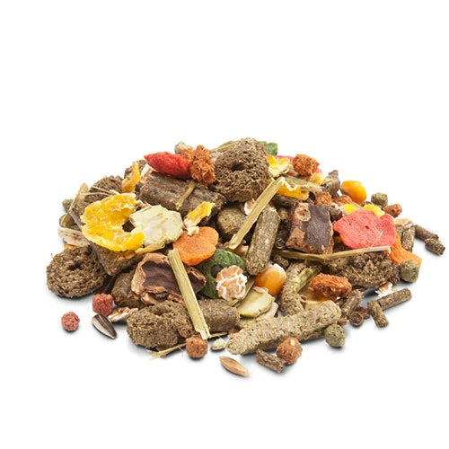 Versele Laga Crispy Muesli Big Rabbits - PetWorld