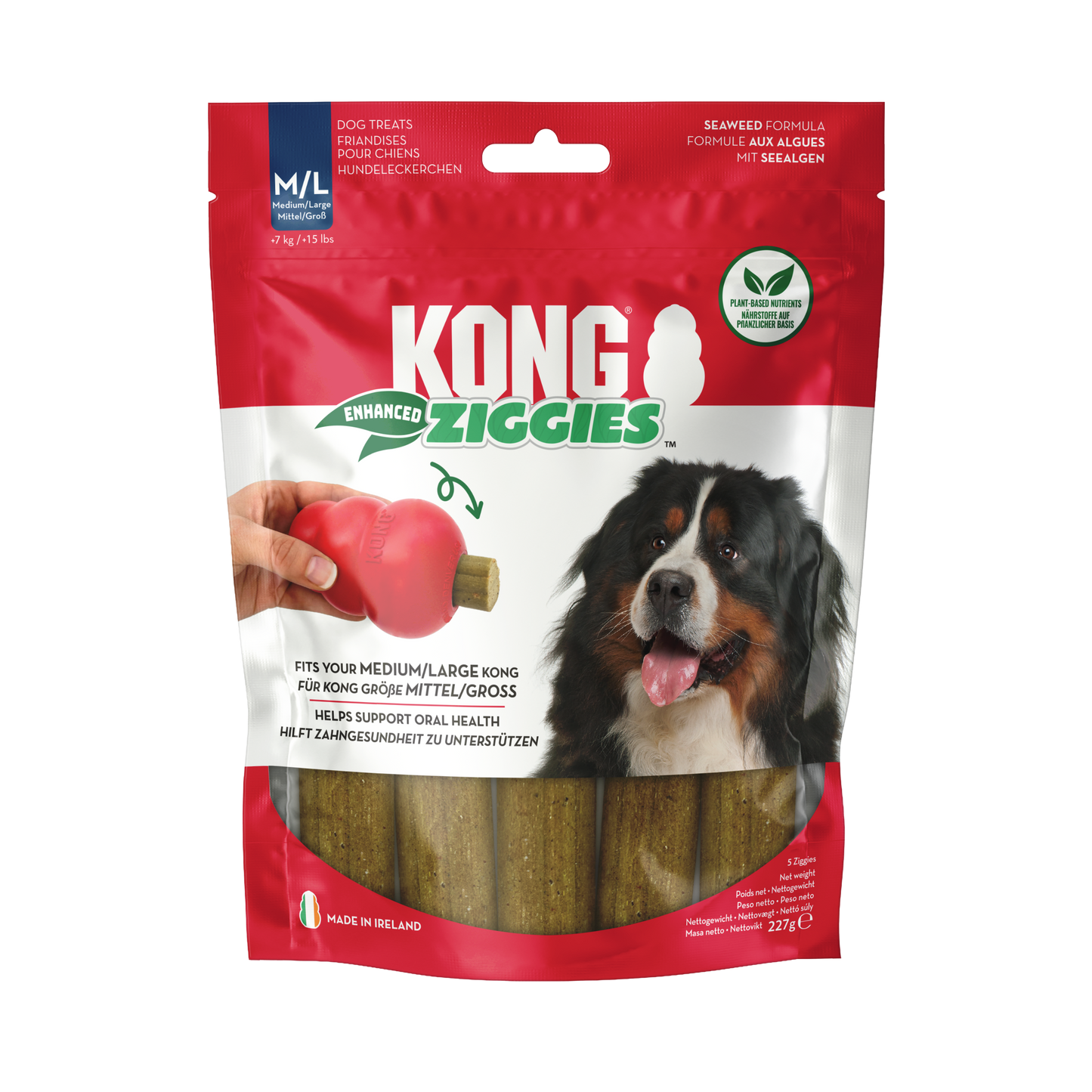 KONG Ziggies - Valuepet.ie