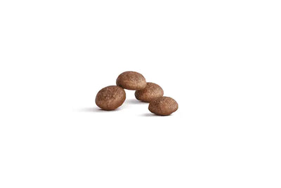 Royal Canin Ageing 15+ Dry Cat Food