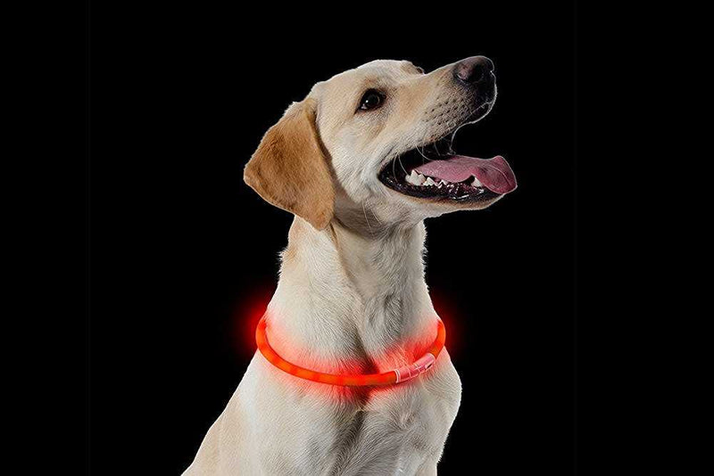 Rechargeable Safety Halo Petworld Ireland